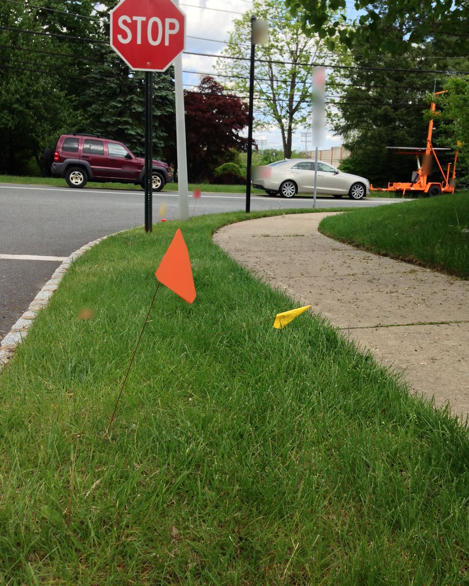 Colored utility locate flags stuck in a grass strip beside a sidewalk near a street corner